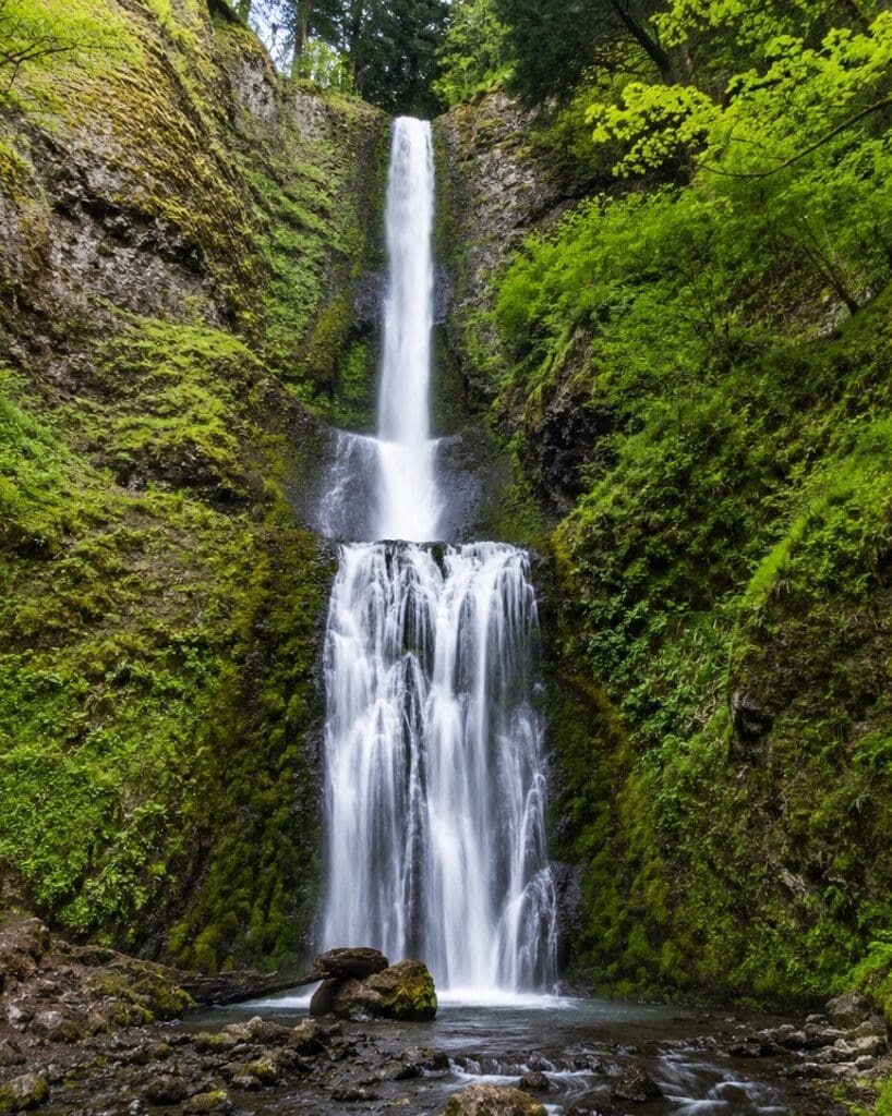 Bridal Veil Falls cascading in two tiers over mossy basalt surrounded by lush forest in the Columbia River Gorge, Oregon.