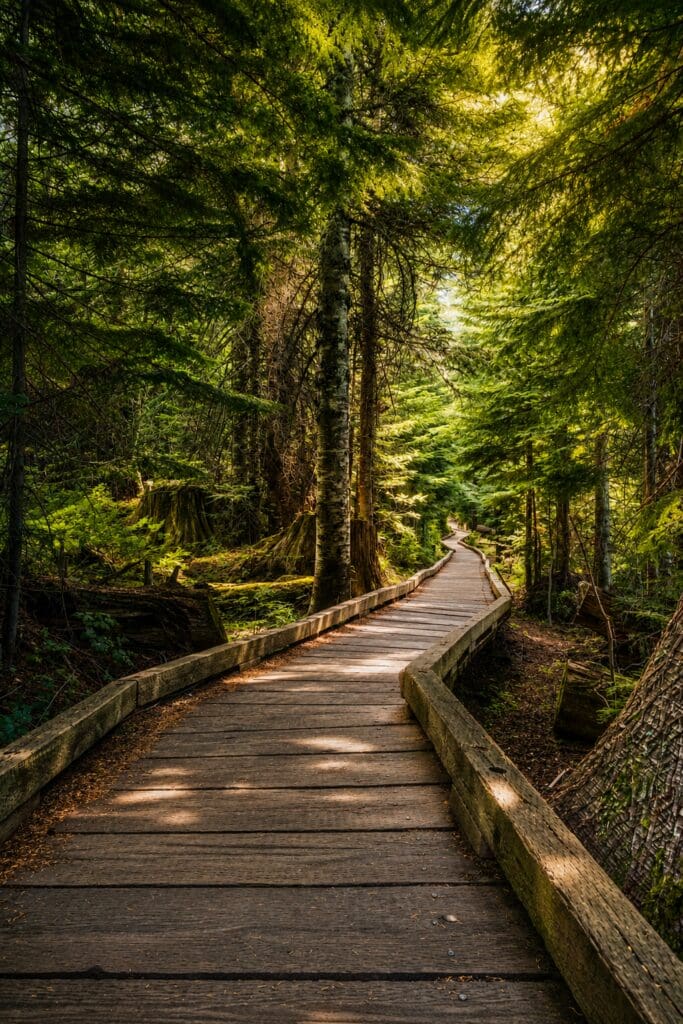 Wooden boardwalk winding through the lush evergreen forest at Lost Lake near Mount Hood, Oregon.