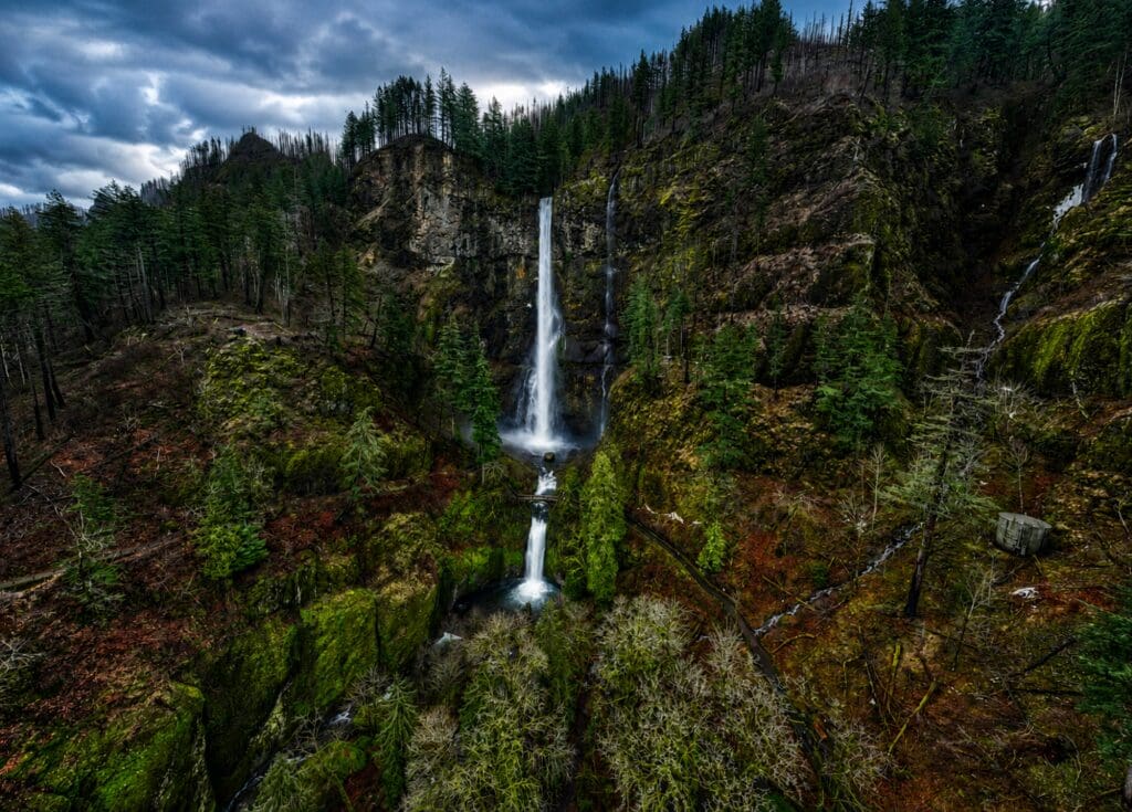 Aerial drone photograph of Multnomah Falls surrounded by forest and basalt cliffs in the Columbia River Gorge, Oregon, photographed by Tobi Rose Photography.